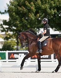Belinda Trussell and Anton schooling WEG 2014 Normandy, France