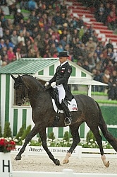 Davis Marcus and Chrevi s Capital n the Team Grand Prix WEG 2014