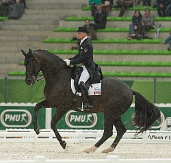 Davis Marcus and Chrevi s Capital n the Team Grand Prix WEG 2014