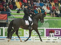 Davis Marcus and Chrevi s Capital n the Team Grand Prix WEG 2014