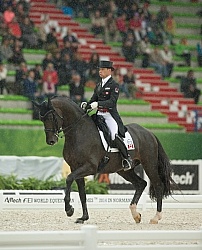 Davis Marcus and Chrevi s Capital n the Team Grand Prix WEG 2014
