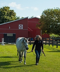Leading Connemara Mare and Foal, Century Hill Farm