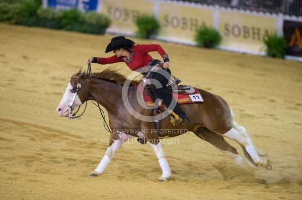 Cira Baeck BEL and Colonels Shining Gun WEG 2014 Normandy