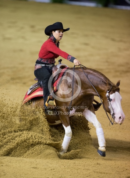 Cira Baeck BEL and Colonels Shining Gun WEG 2014 Normandy
