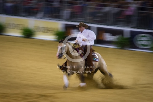 Jordan Larson USA and HF Mobster WEG 2014 Normandy