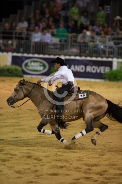 Gilson Vieira Diniz Filho BRA and Steppin Off Sparks,WEG 2014