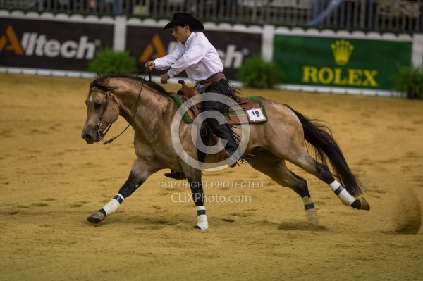 Gilson Vieira Diniz Filho BRA and Steppin Off Sparks,WEG 2014