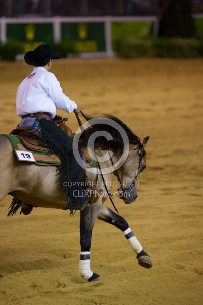 Gilson Vieira Diniz Filho BRA and Steppin Off Sparks,WEG 2014