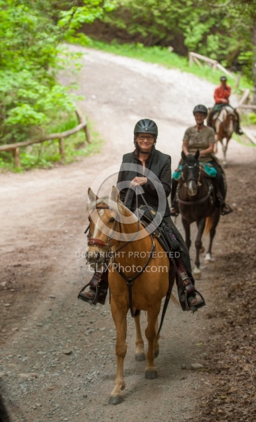 Trail Riding in a Mechanical Hackamore
