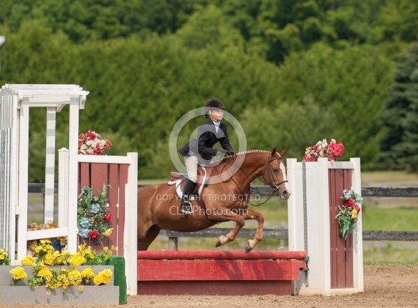 Childrens Hunter Over Fences