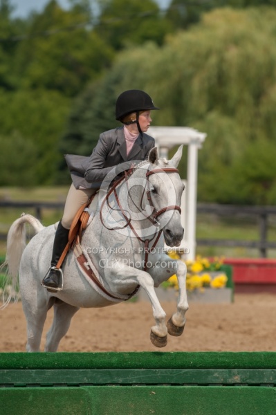 Childrens Hunter Over Fences