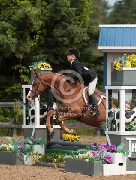 Childrens Hunter Over Fences