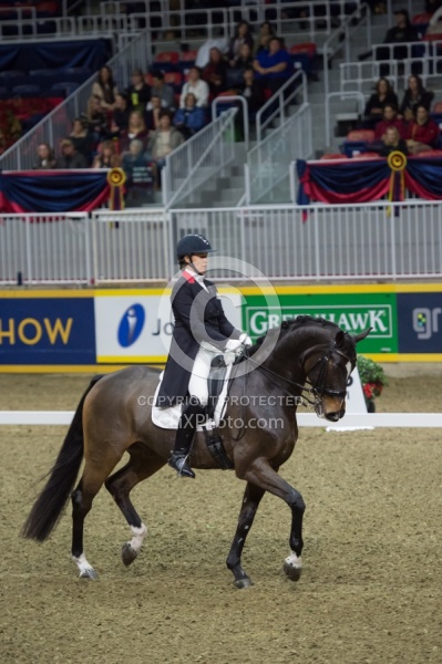 Karen Pavicic on Don Daquiri, RAWF 2014 Dressage