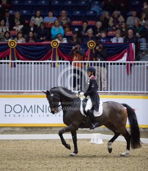 Karen Pavicic on Don Daquiri, RAWF 2014 Dressage