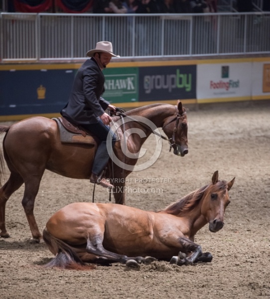Guy McLean performing at the RAWF 2014