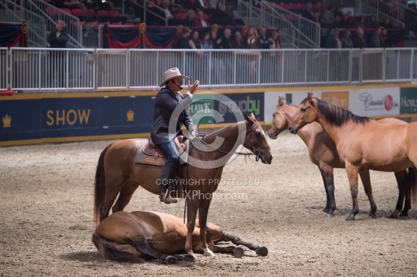 Guy McLean performing at the RAWF 2014