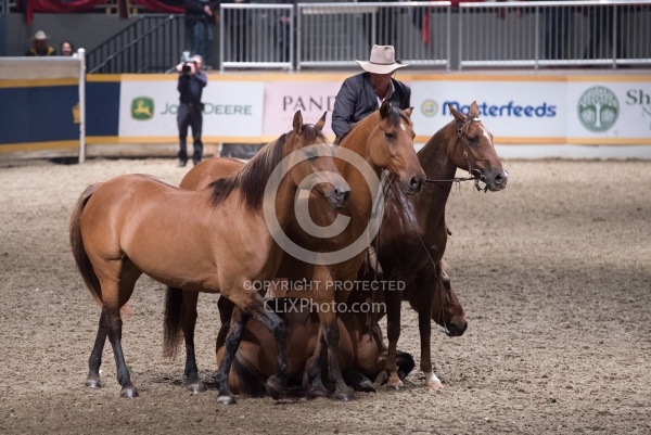 Guy McLean performing at the RAWF 2014