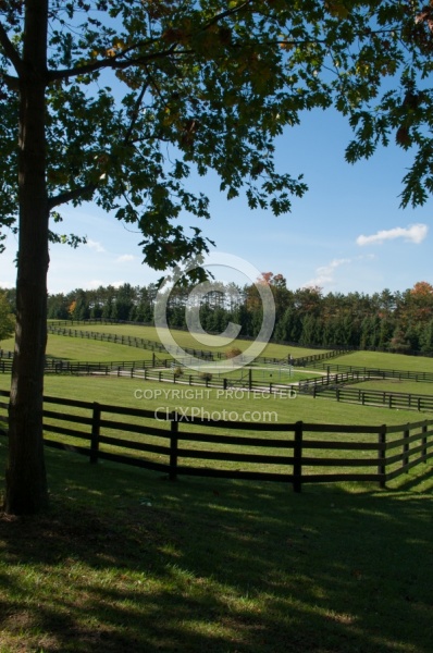 Fencing and Paddocks Wood Fencing and Paddocks