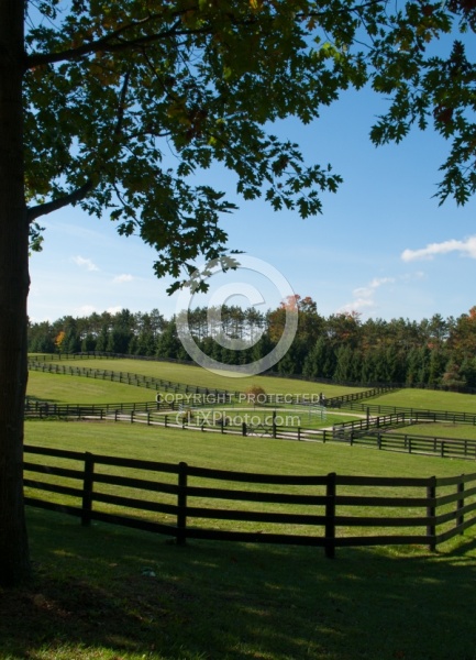 Fencing and Paddocks Wood Fencing and Paddocks