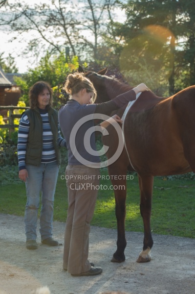 Vet Tape Measuring for Weight