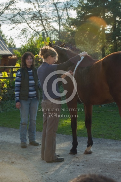 Vet Tape Measuring for Weight