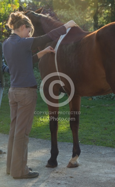 Vet Tape Measuring for Weight