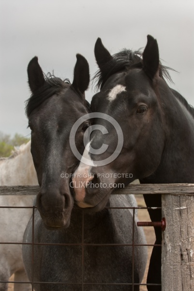 Wire and Wood Fencing