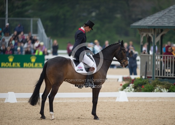 William Fox-Pitt and Bay My Hero Rolex 2014