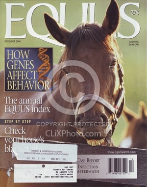 Equus