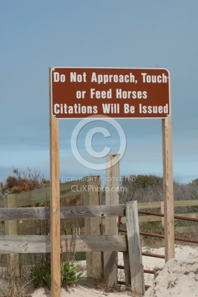 The Corolla Horse General