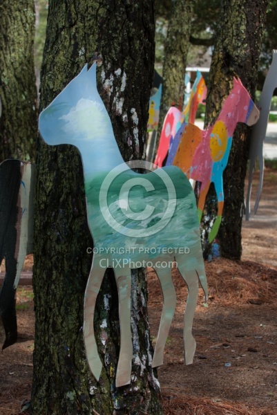 The Corolla Horse General