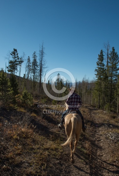 On The Trail at C Lazy U