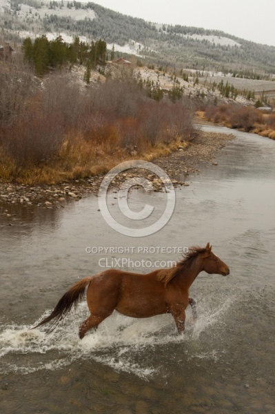 The Jingle Thropugh The River