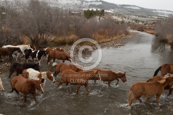 The Jingle Thropugh The River