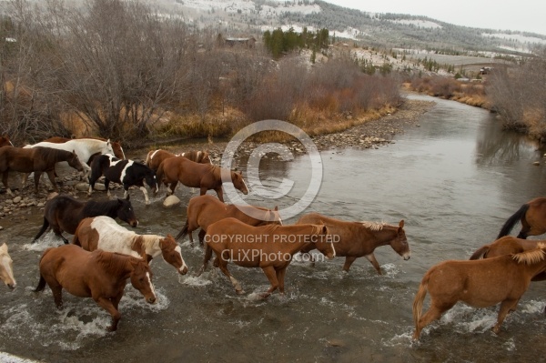 The Jingle Thropugh The River