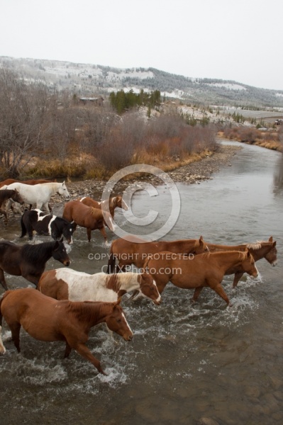 The Jingle Thropugh The River