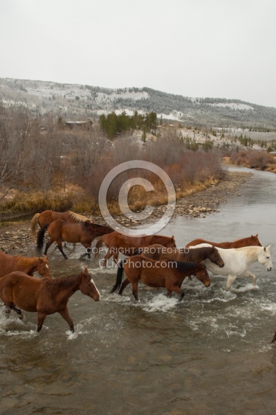 The Jingle Thropugh The River