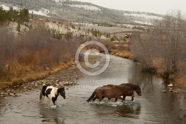 The Jingle Thropugh The River