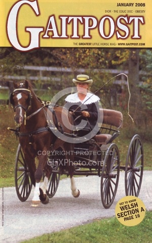 2008 January GaitPost