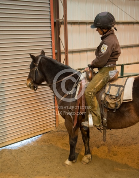 Changing from Flight to investigative