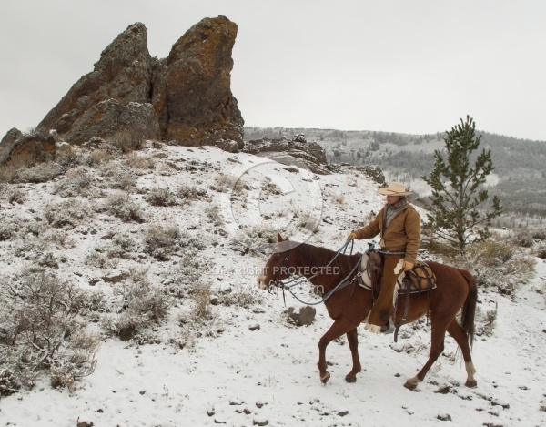 The Snowy Trail Ride