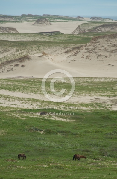Sable Island