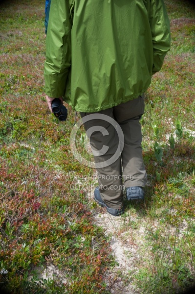 Walking on the horse paths of Sable Island 