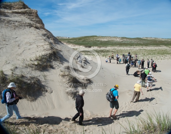 Walking on Sable Island