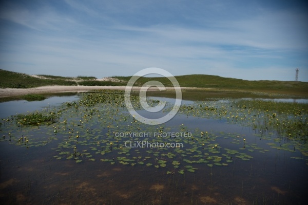 The Fresh Water Ponds of Sable Island