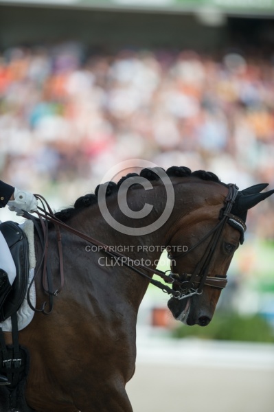 Belinda Trussell and Anton Grand Prix Special WEG 2014 Normandy, Dressage Braids