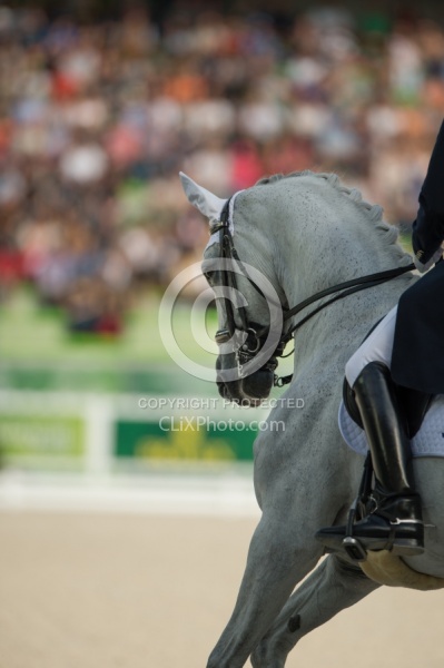 Michael Eilberg and Half Moon Delphi Grand Prix Special WEG 2014 Dressage Braids