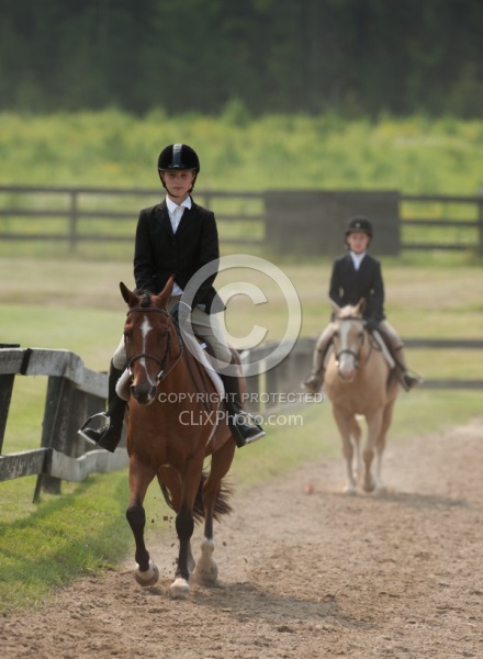 Hunter in Ring on Flat