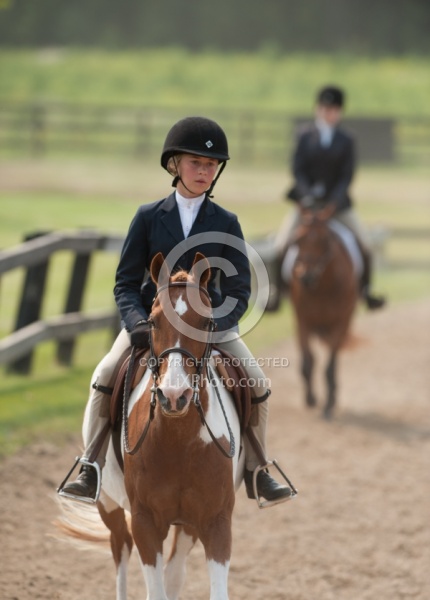 Hunter in Ring on Flat