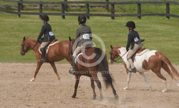 Hunter in Ring on Flat